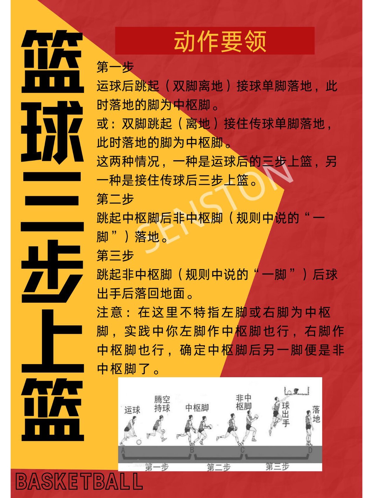 篮球基本功的训练要求有哪些内容